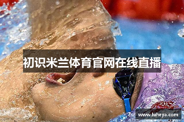 初识米兰体育官网在线直播